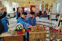 viber_slika_2026-03-09_14-50-01-165