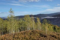 396185651_729886202514361_6532092719522983254_n