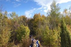 396942382_729886295847685_2749115250895185306_n