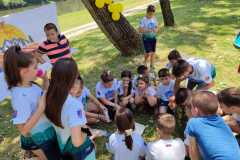 viber_slika_2024-06-18_13-50-36-643