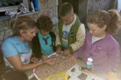 viber_slika_2024-07-29_09-08-25-604