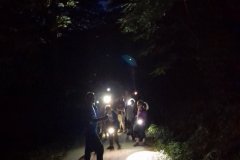 viber_slika_2024-07-29_09-08-30-087