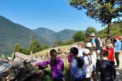 viber_slika_2024-07-29_09-08-32-885