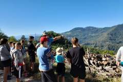 viber_slika_2024-07-29_09-08-33-537