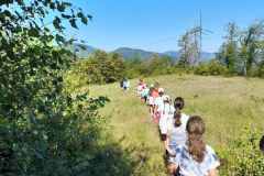 viber_slika_2024-07-29_09-08-33-939