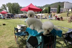 viber_slika_2024-05-19_10-50-09-514