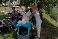 viber_slika_2024-05-19_10-50-09-659