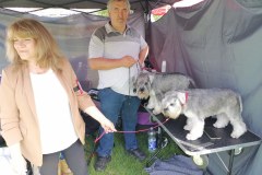 viber_slika_2024-05-19_10-50-10-140