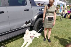 viber_slika_2024-05-19_10-50-10-637