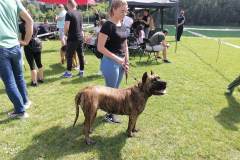 viber_slika_2024-05-19_10-50-10-717