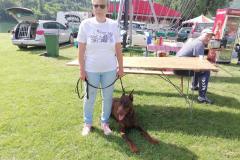 viber_slika_2024-05-19_10-50-11-121