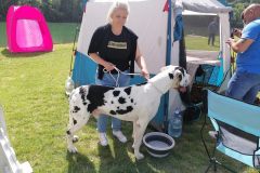 viber_slika_2024-05-19_10-50-11-528