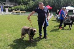 viber_slika_2024-05-19_10-50-11-598