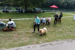 viber_slika_2024-05-19_10-50-12-870