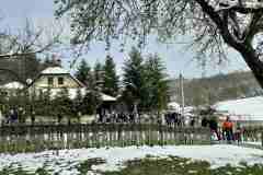 viber_image_2023-04-05_16-16-01-870