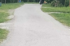 viber_slika_2024-05-17_07-09-50-881