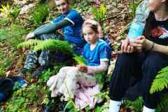 viber_slika_2024-05-12_21-18-14-587