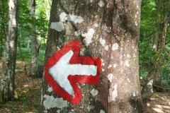 viber_slika_2024-05-12_22-03-02-623