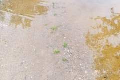 viber_image_2023-05-28_15-42-11-715