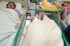 viber_image_2024-01-01_13-04-44-814
