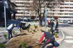 IMG-1c9c1fc259e0e5de56a46188447d19f0-V