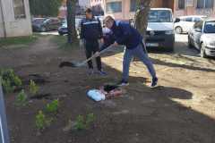 IMG-de382967679db53ca735fa9c399c2399-V