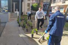 IMG-f12a00eeccb94e486a632b8e58d86d39-V