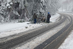 viber_slika_2026-03-28_09-53-18-174