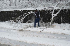 viber_slika_2026-03-28_10-05-32-286