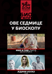 dom vizuali 10