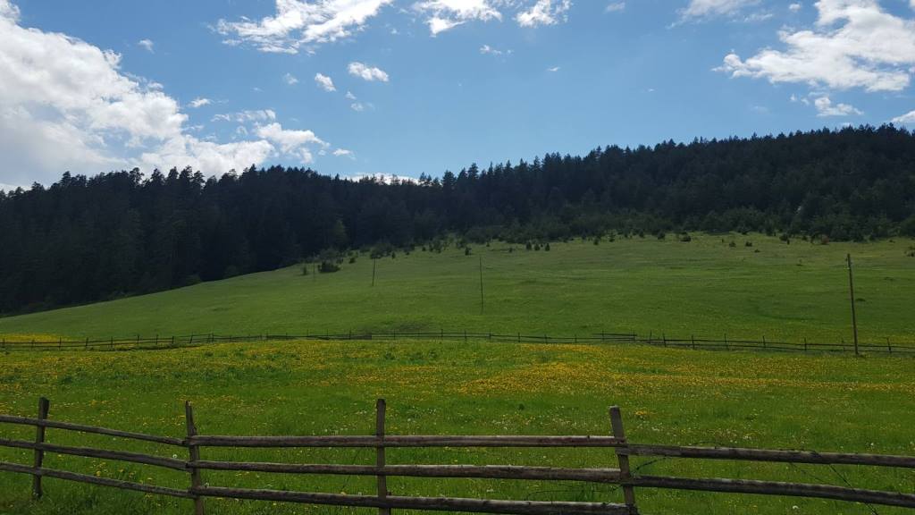 priroda