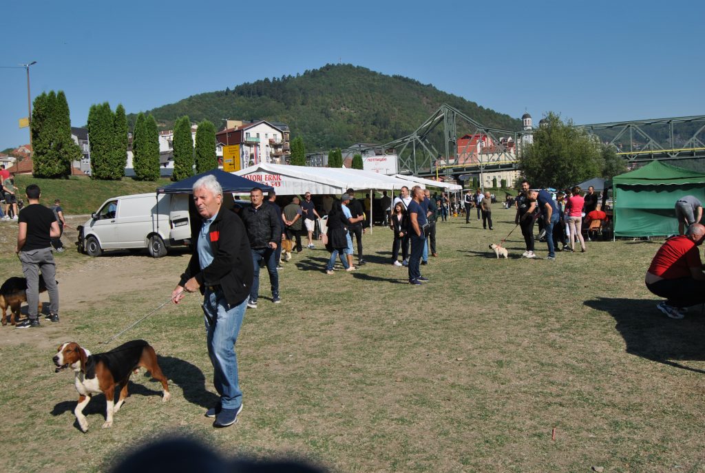 zvornik izlozba pasa