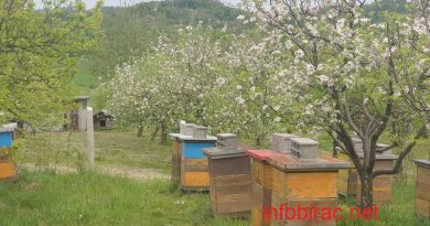 Три узорка меда неисправна у контроли инспекције у Републици Српској