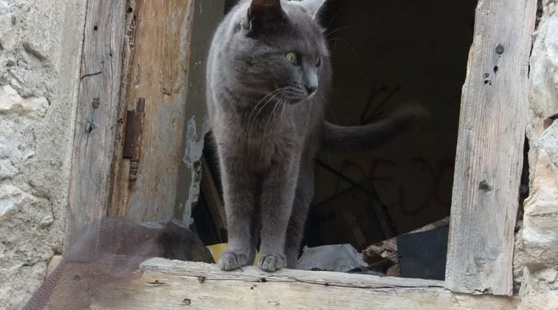 macka