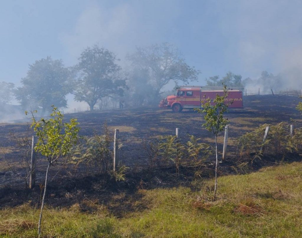 295823798 420791113169268 1448884724535077378 n