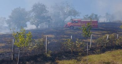 Власенички ватрогасци локализовали пожар у Цикотама