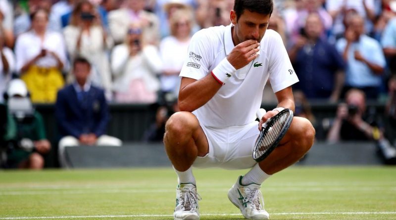 djokovic trava djokovic jede travu