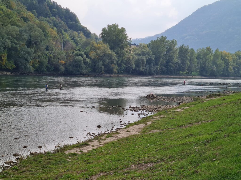 drina plitka pecanje