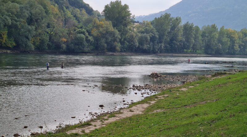drina plitka pecanje