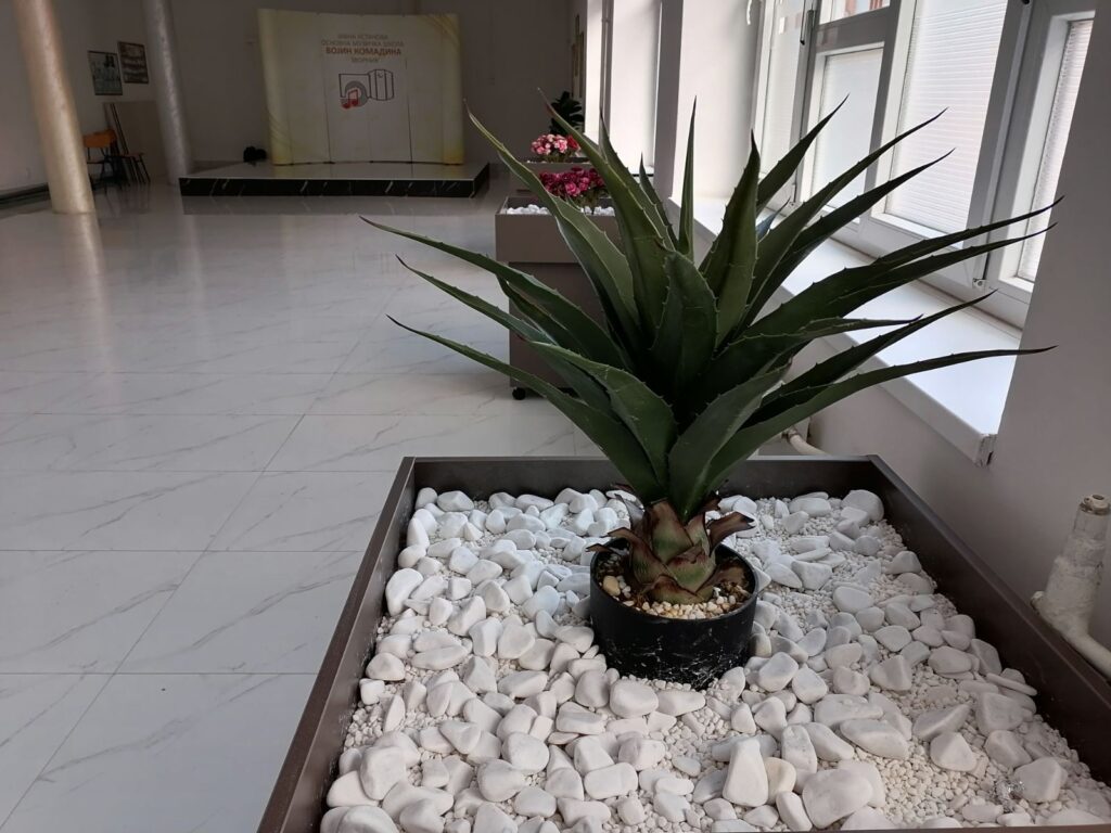 hol