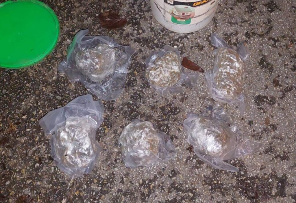 IMG a183a11af1ebd081e000823d19433dc2 V