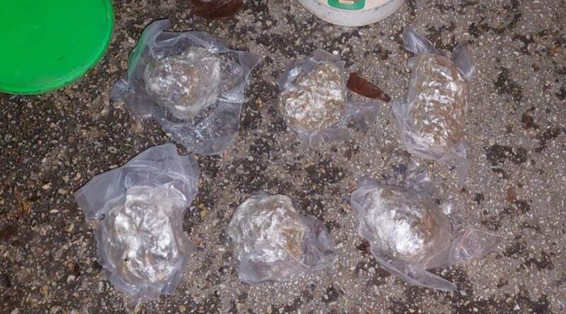 IMG a183a11af1ebd081e000823d19433dc2 V