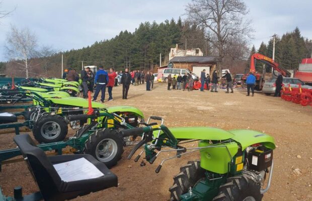 freze1 620x400 1