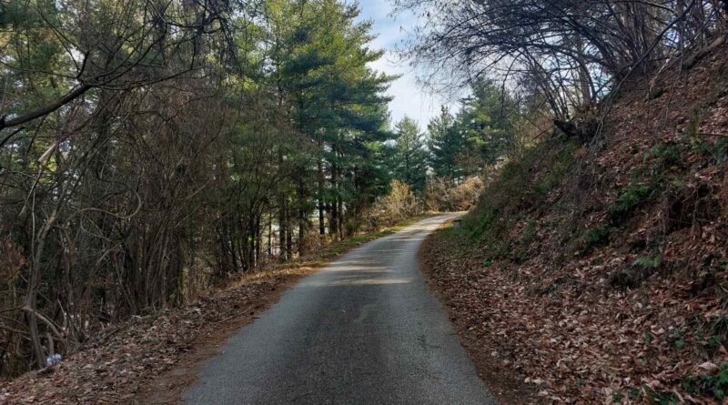 suma lisce put na kulu