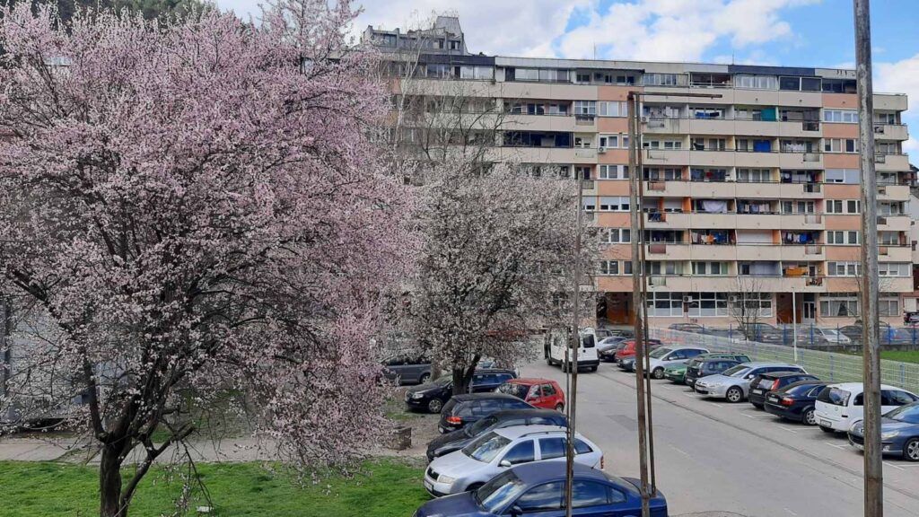 viber image 2023 03 22 12 35 02 886