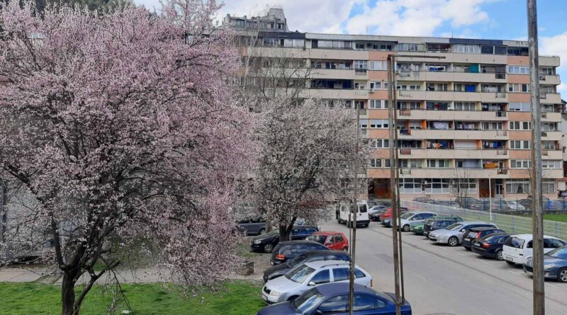 viber image 2023 03 22 12 35 02 886