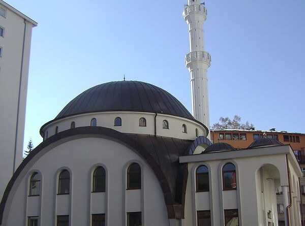 10550972 564009393729875 8694023809062294696 n