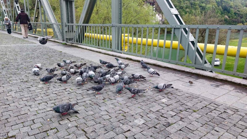 viber image 2023 04 14 11 52 02 639