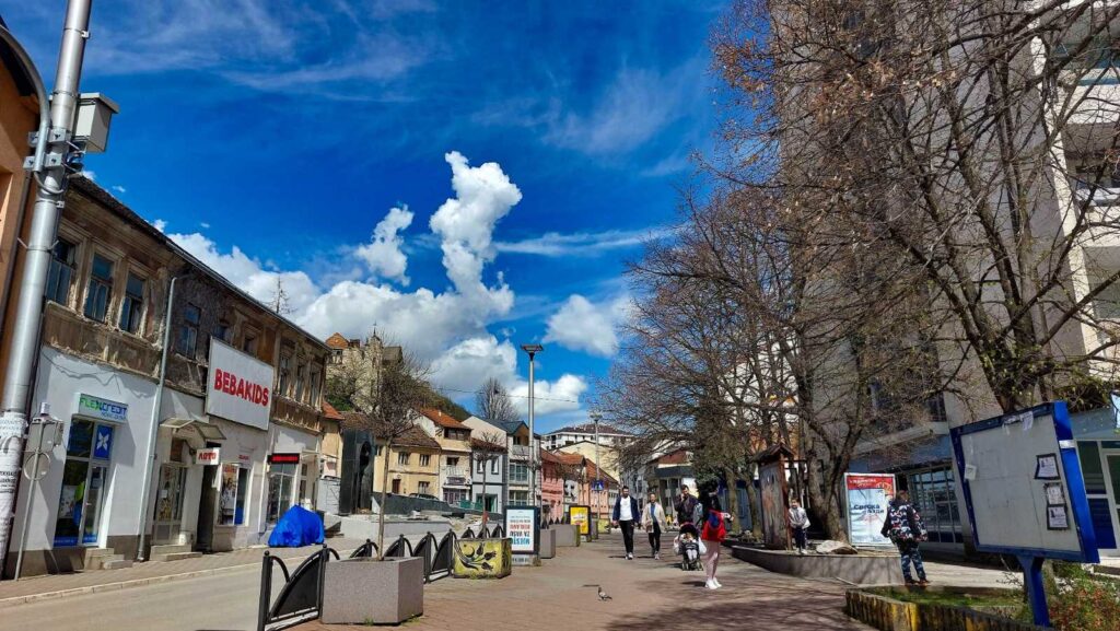 зворник главна људи