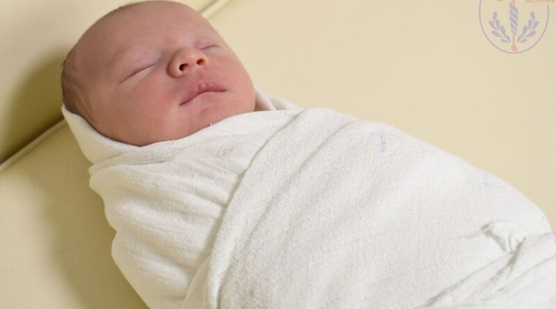 337856116 232921362552975 2291792540744670133 n